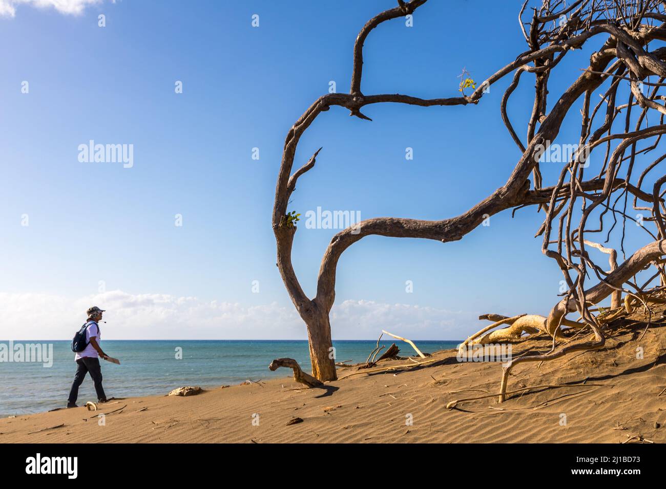 LE DUNE DI BANI, DUNAS DE BANI, PENISOLA DI LAS CALDERAS, REPUBBLICA DOMINICANA Foto Stock