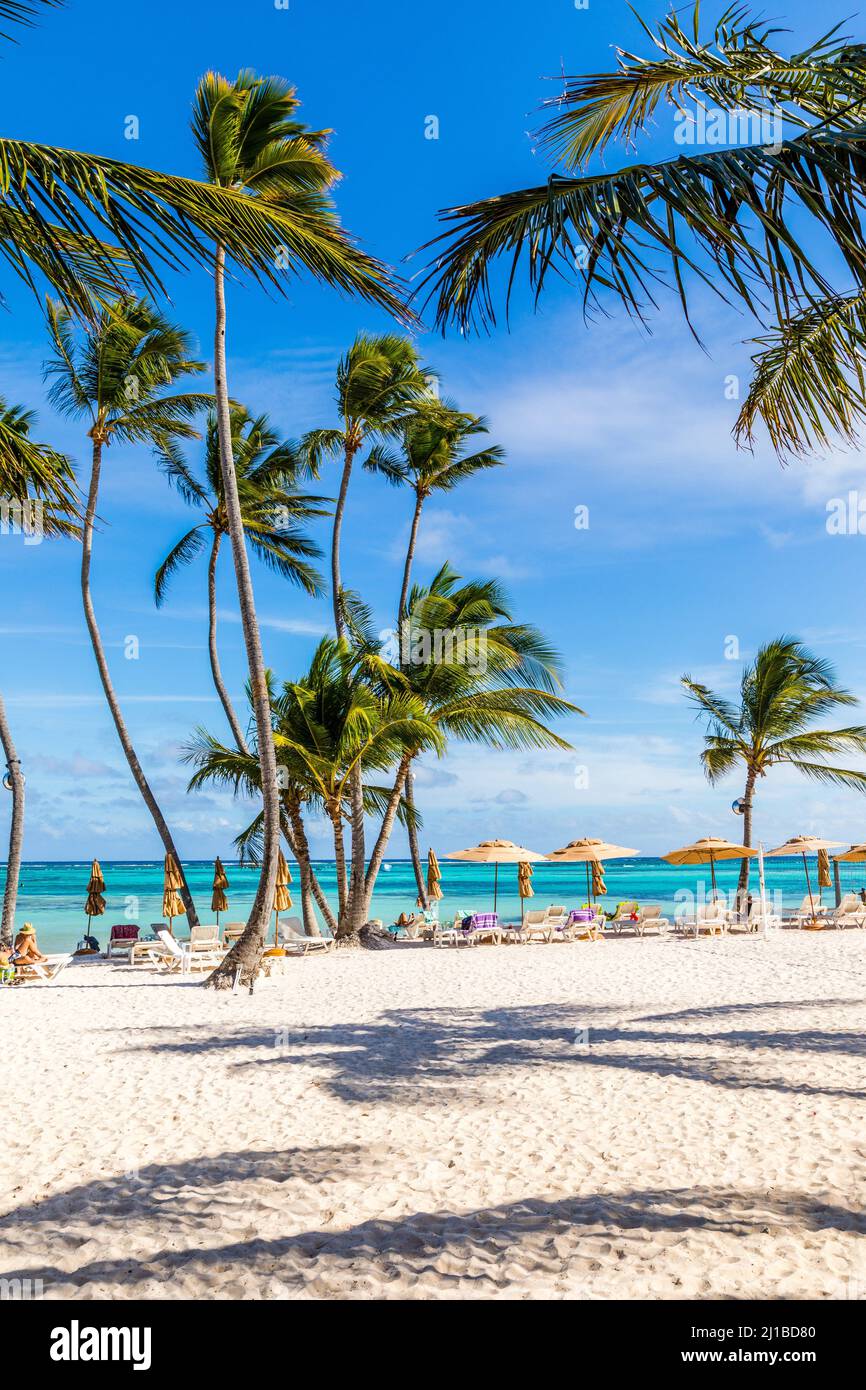 ILLUSTRAZIONE DEL DECLINO NEL NUMERO DI PRENOTAZIONI DEL RESORT, LA SPIAGGIA AL WESTIN PUNTA CANA RESORT & CLUB, REPUBBLICA DOMINICANA Foto Stock