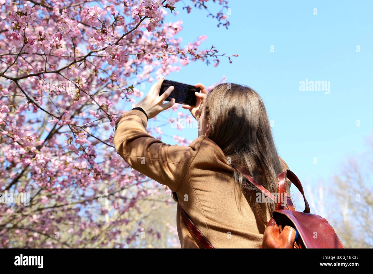 Foto ragazza su smartphone fotocamera sakura fiori in giardino giapponese. Stagione di fioritura dei ciliegi in primavera, tradizionale vacanza Hanami Foto Stock