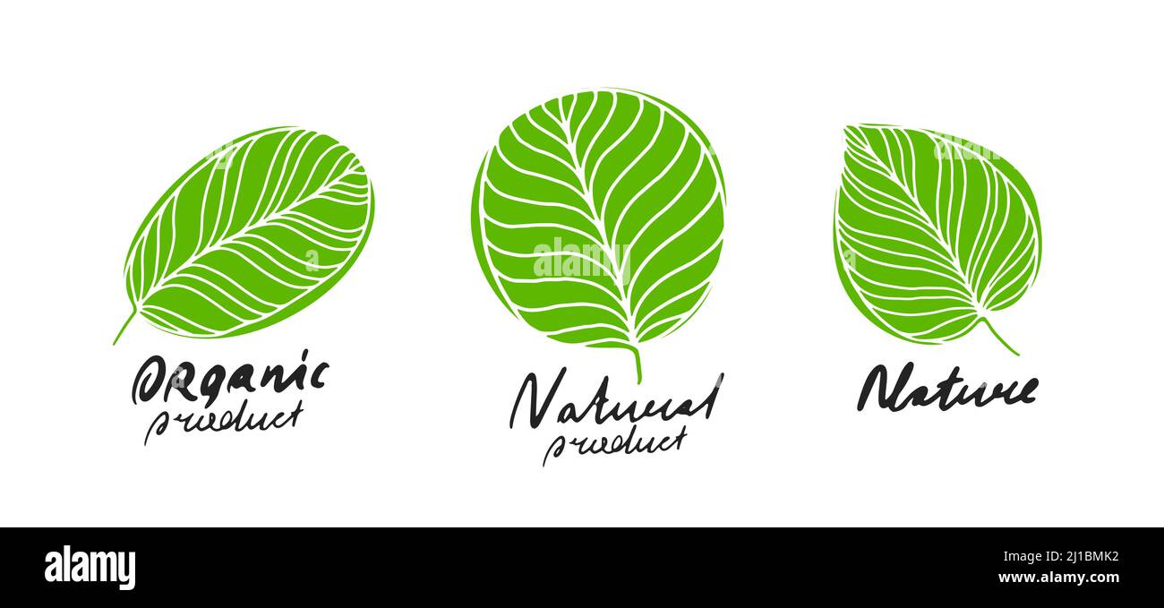 Set di foglie ed erbe logo. Simbolo di agricoltura, prodotti sani o cosmetici biologici Illustrazione Vettoriale