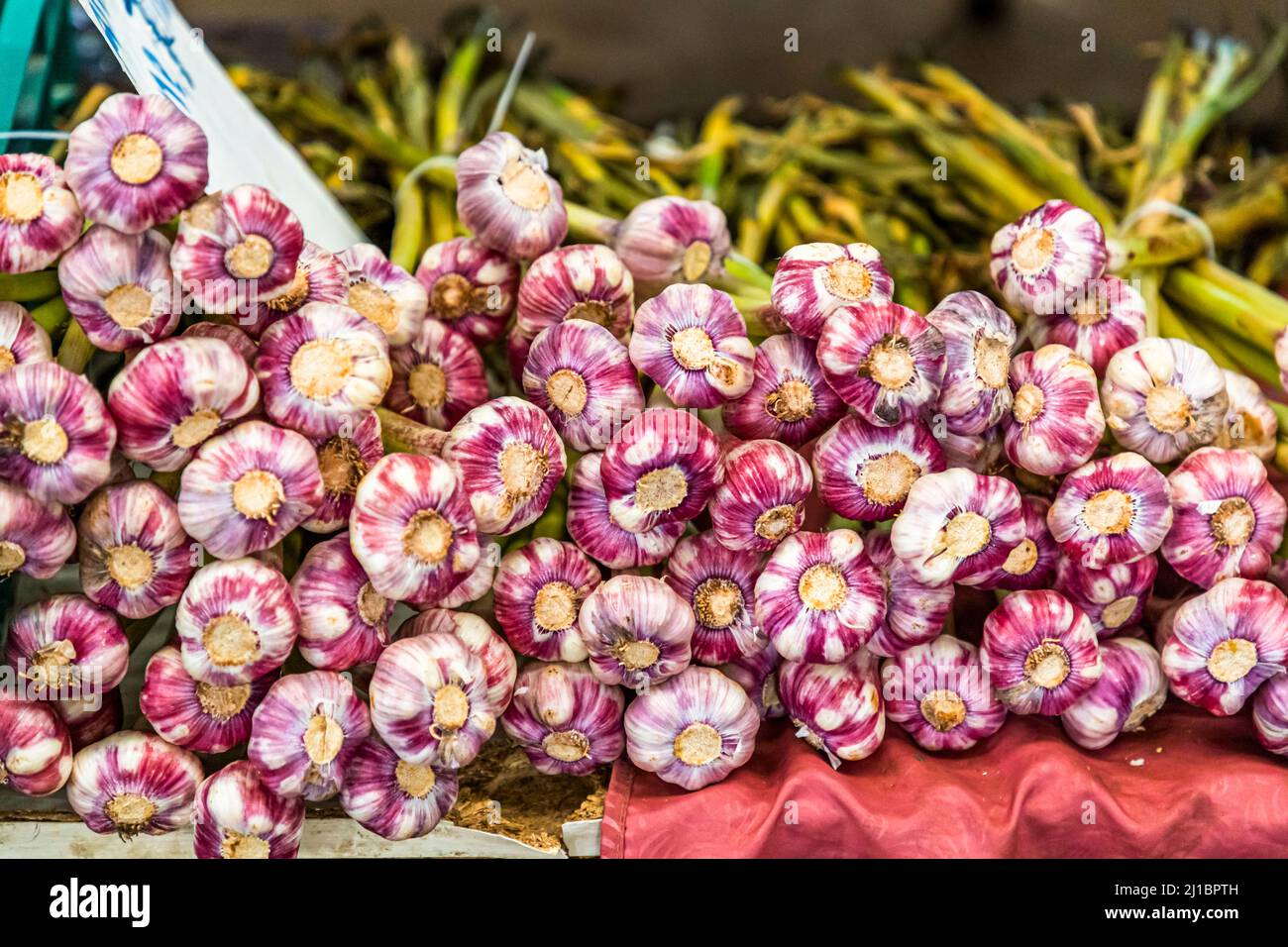 Aglio sul mercato di Famagosta, Repubblica turca di Cipro del Nord (TRNC) Foto Stock