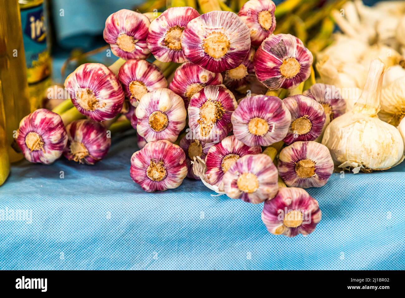 Aglio sul mercato di Famagosta, Repubblica turca di Cipro del Nord (TRNC) Foto Stock