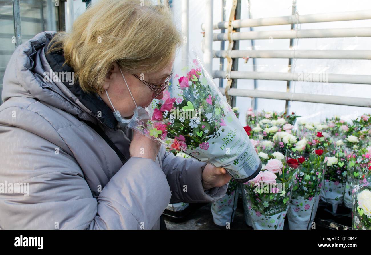Mosca, Russia, febbraio 2022: Donna anziana in una maschera medica insegue rose rosa in pentole e avvolto: Vendita in serra. Fiori in regalo. Foto Stock