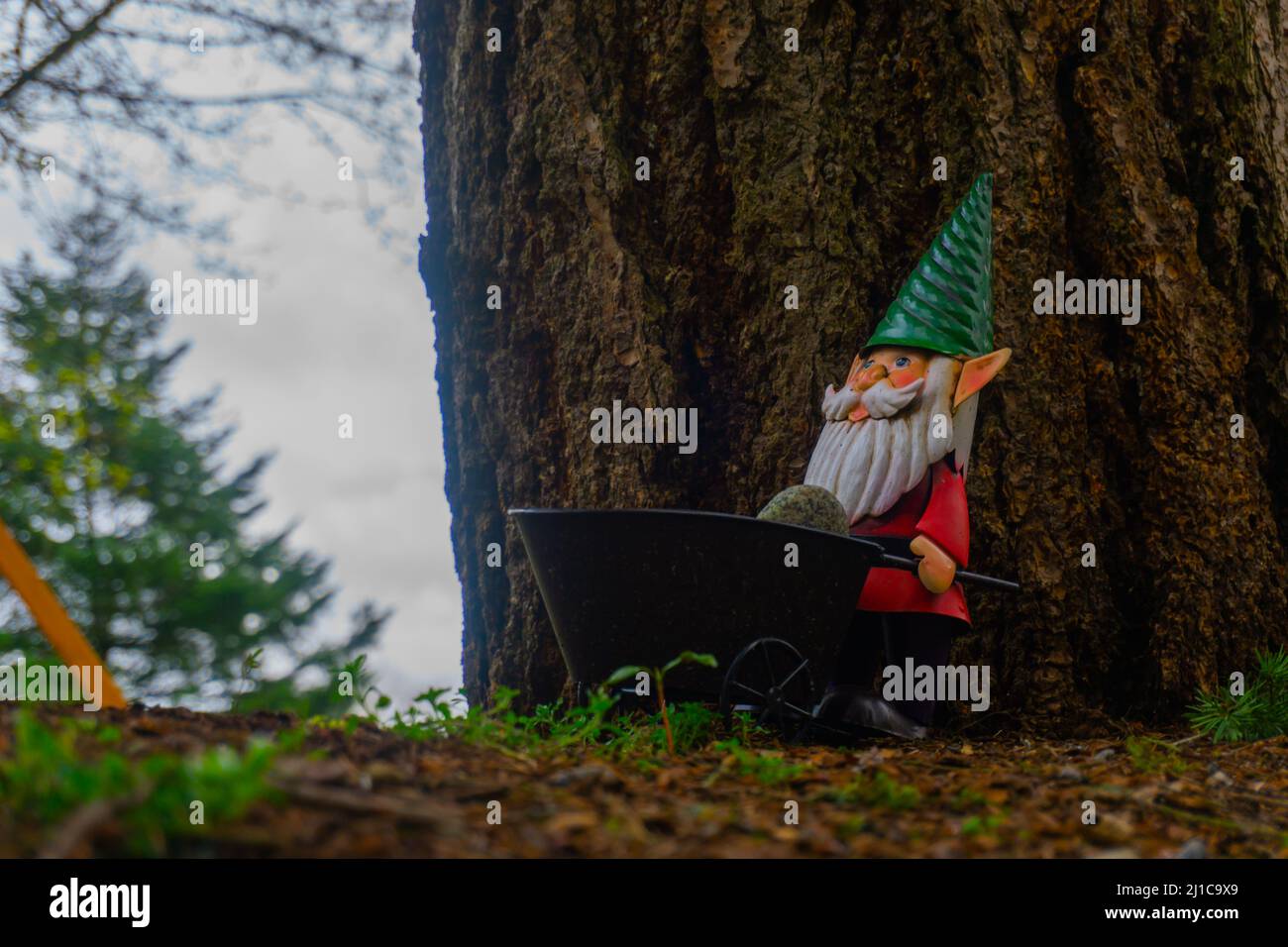 Uno gnomo da giardino tiene una carriola davanti ad un albero con un altro albero distante sullo sfondo. Foto Stock