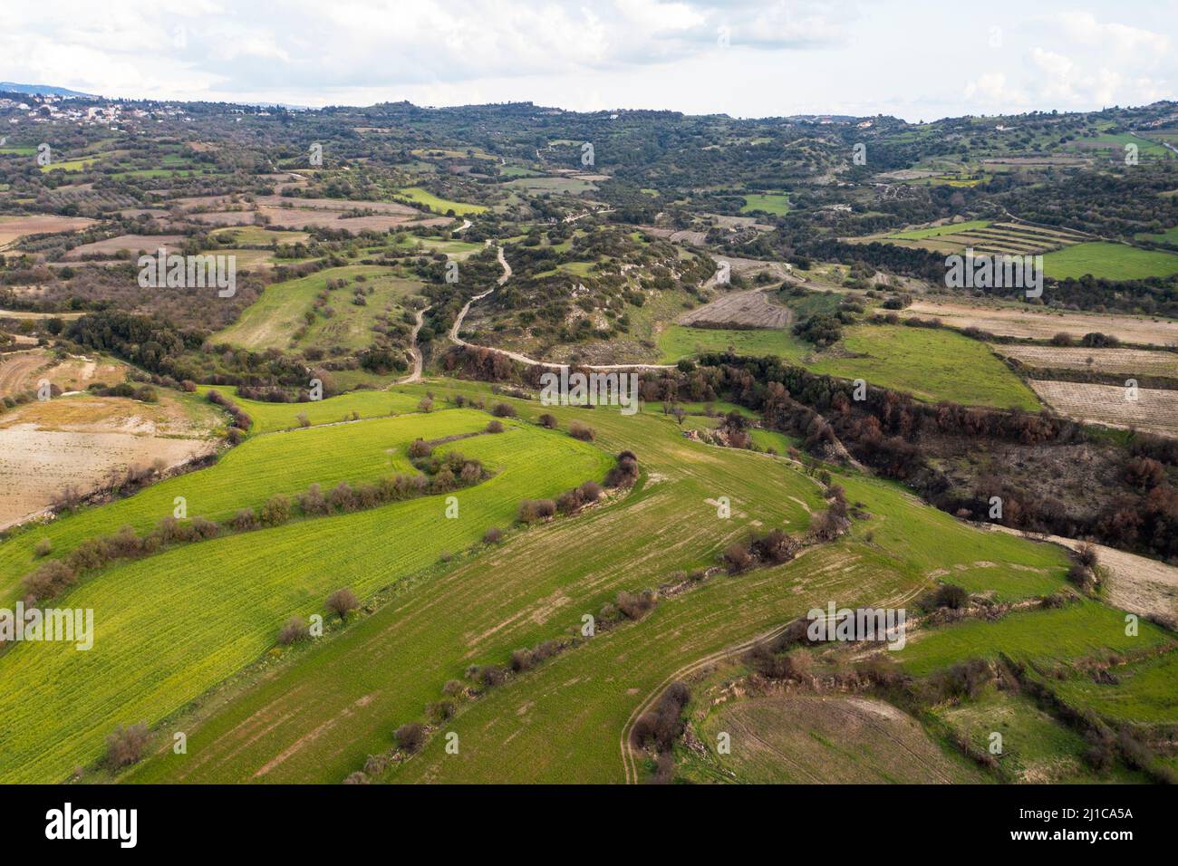 Vista aerea che mostra il paesaggio tipico della regione viticola della valle di Ezousa, distretto di Pafos, Cipro Foto Stock