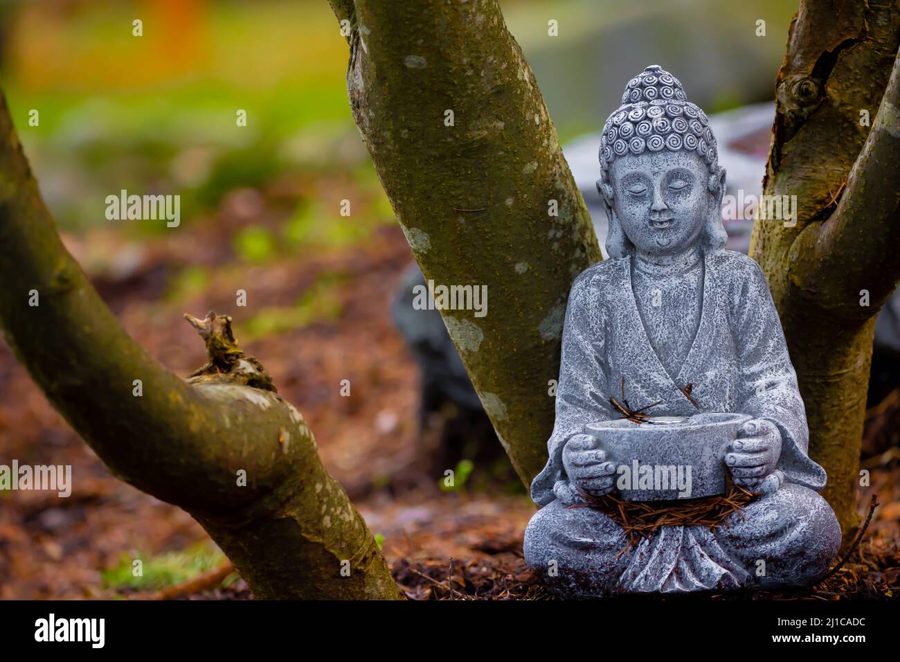 Una statua buddista come decorazione del cortile in un cortile circondato da un albero. Foto Stock
