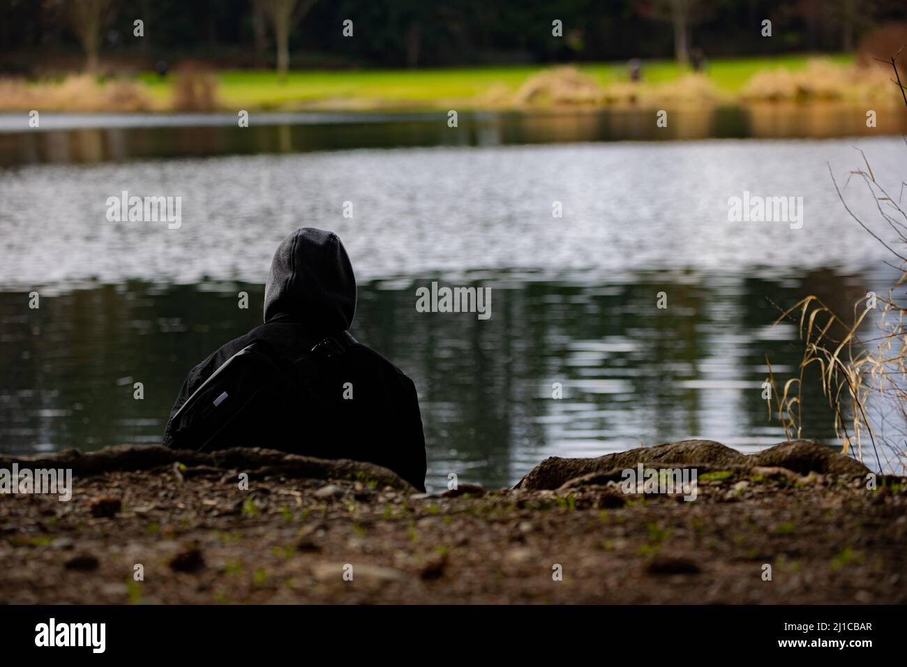 Persona seduta da sola in riva all'acqua che si staglia al lago con erba verde sullo sfondo. Foto Stock