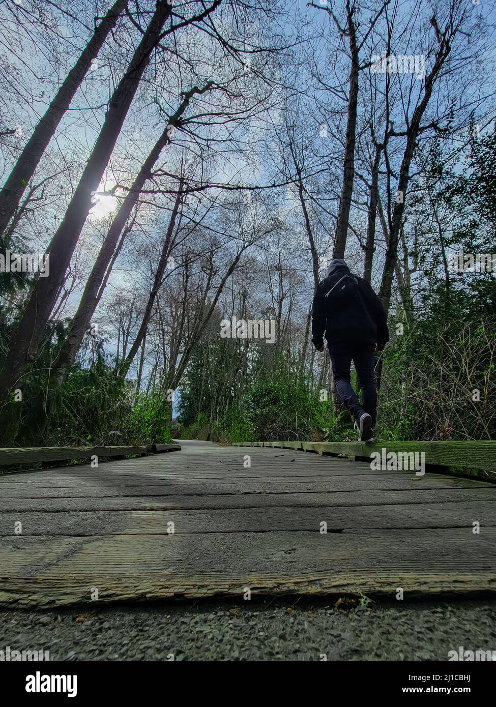 Persona che cammina attraverso un ponte in un parco circondato da alberi. Foto Stock