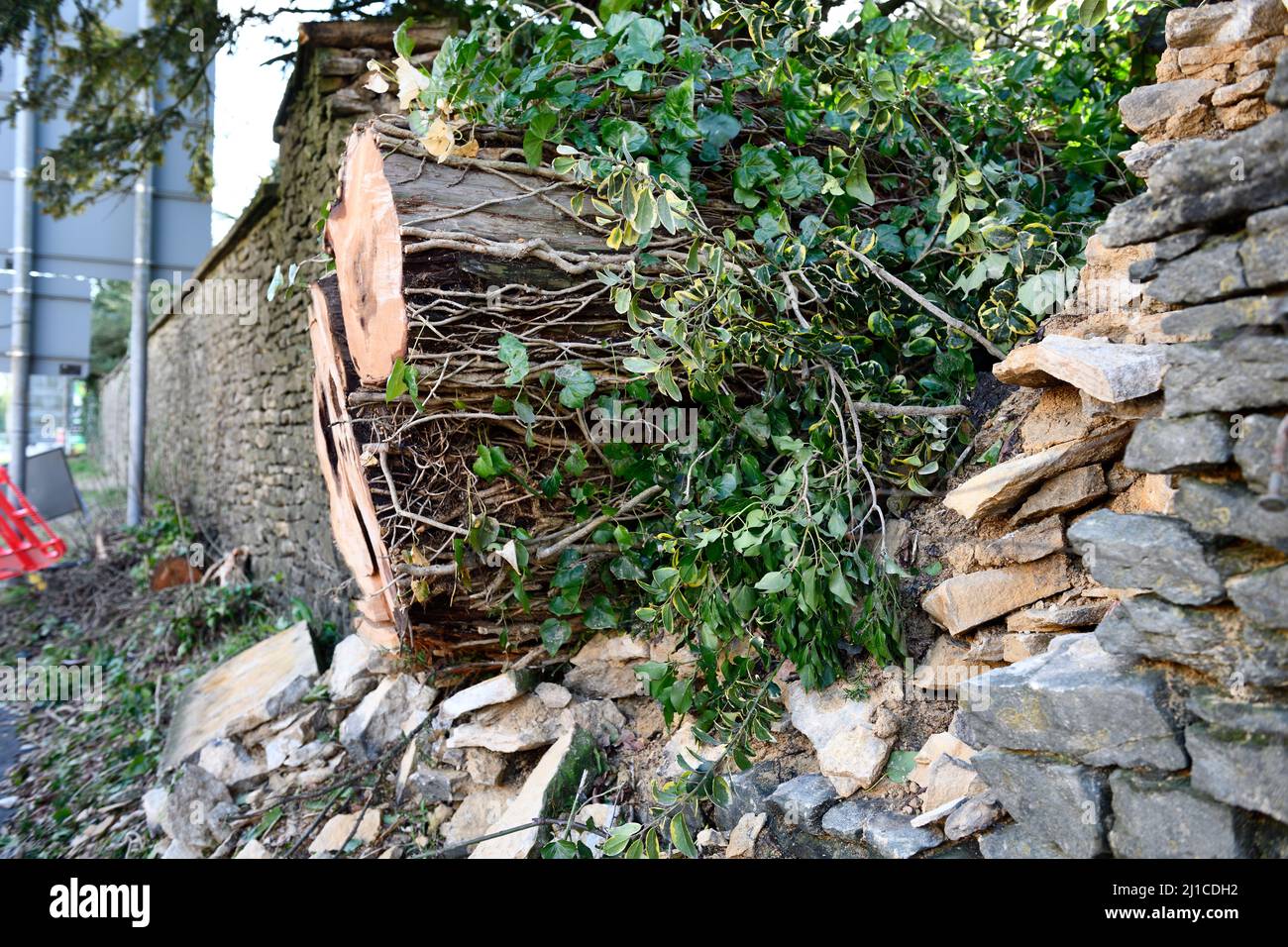 Seguito di Storm Franklin Stow sul Wold Gloucestershire Inghilterra uk 2022 Foto Stock