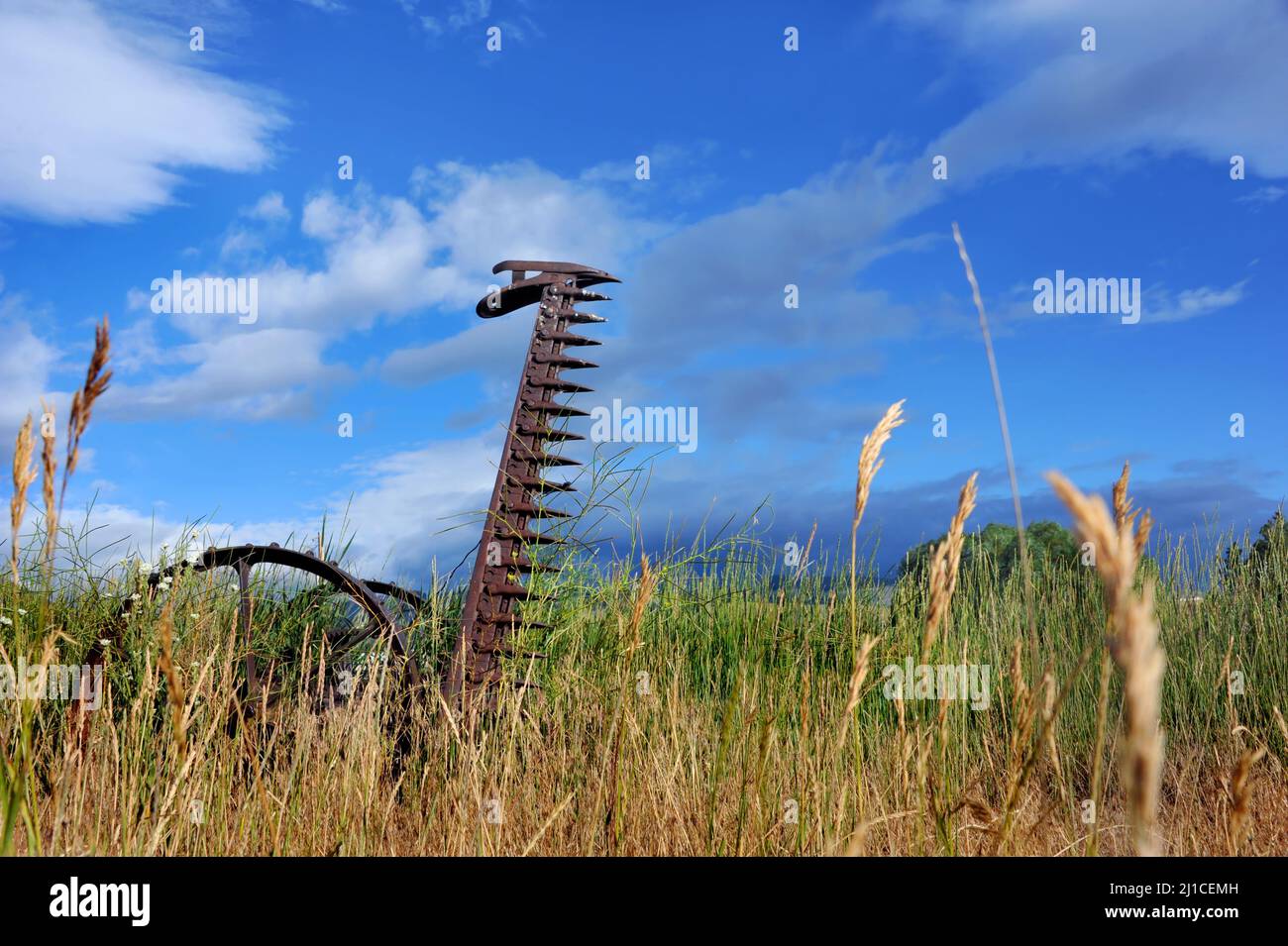 Il tosaerba da fieno antico si trova abbandonato in un campo di Happy Valley, Wyoming. Il rasaerba è troppo coltivato con erbacce e arrugginite. La ruota di ferro è ancora collegata. Foto Stock