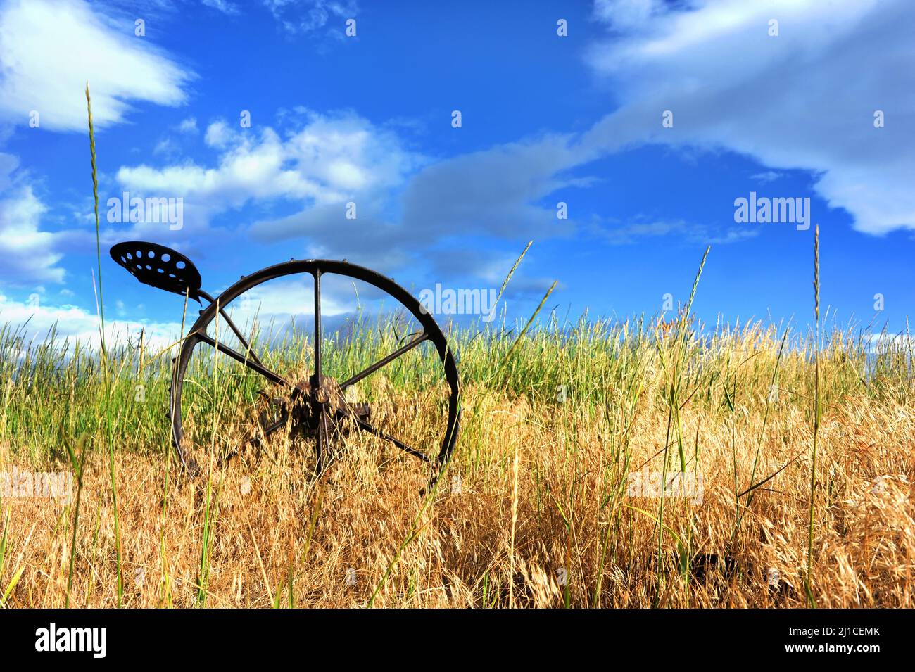 Antico aratro trainato da cavalli, si trova abbandonato in un campo in Hapy Valley, Wyoming. L'aratro in metallo è dotato di sedile e ruota in metallo con raggi. Foto Stock