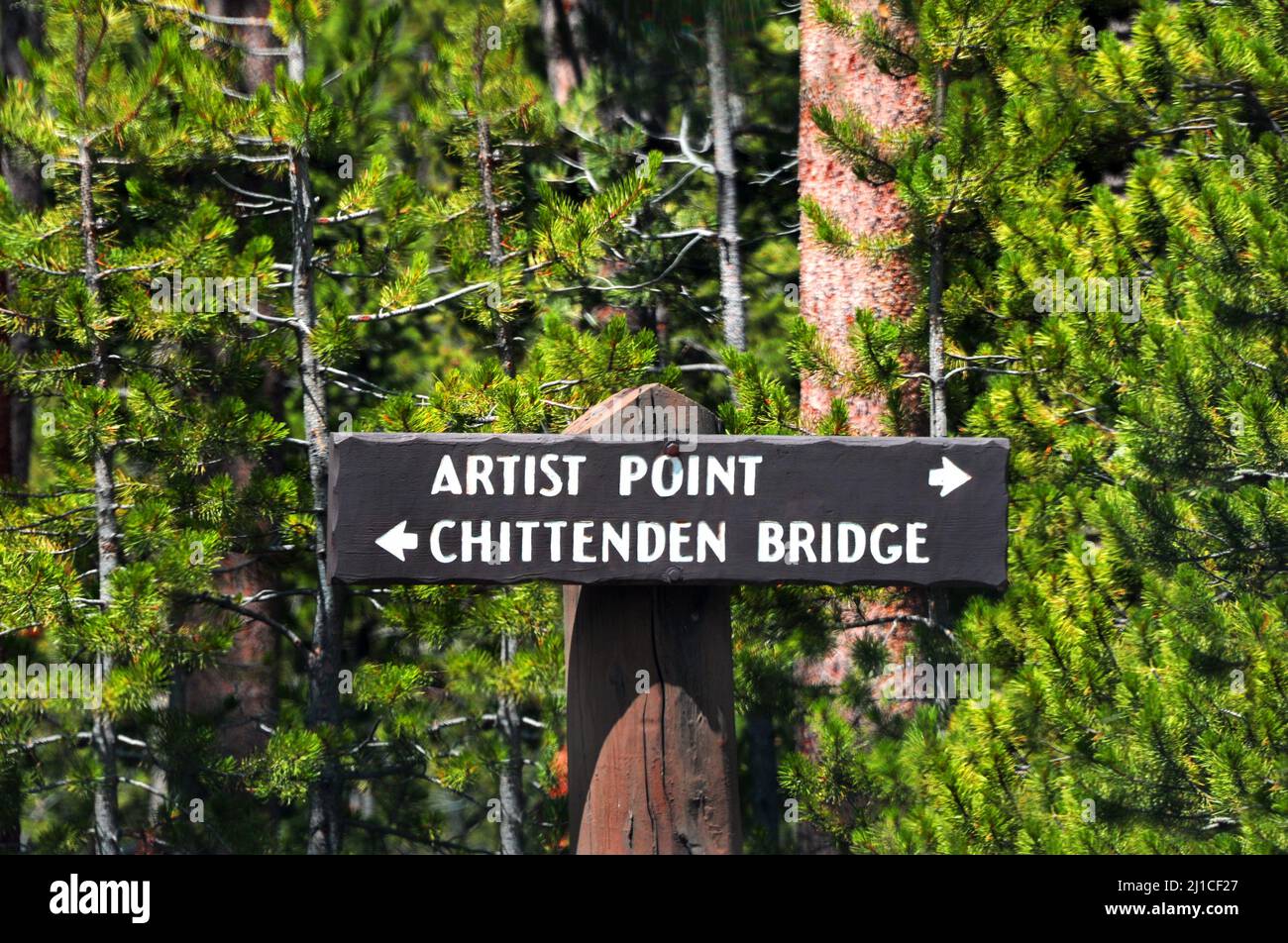 Cartello rustico indica la strada per Artists Point e Chittenden Bridge nel Parco Nazionale di Yellowstone. Foto Stock