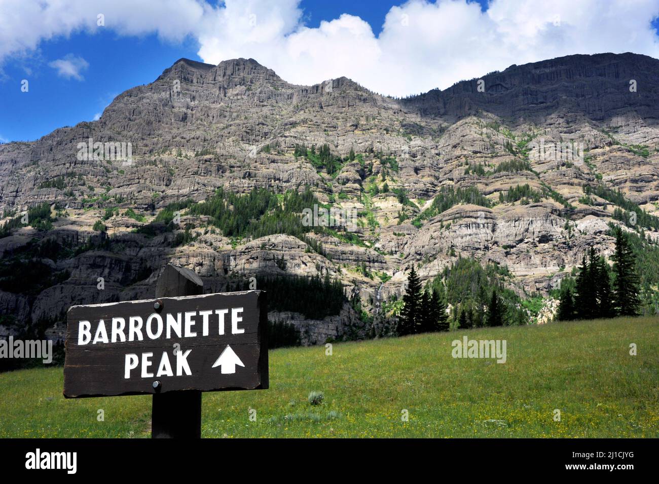 Barronette Peak, nel Parco Nazionale di Yellowstone, abbraccia le nuvole in un cielo blu estivo. Foto Stock