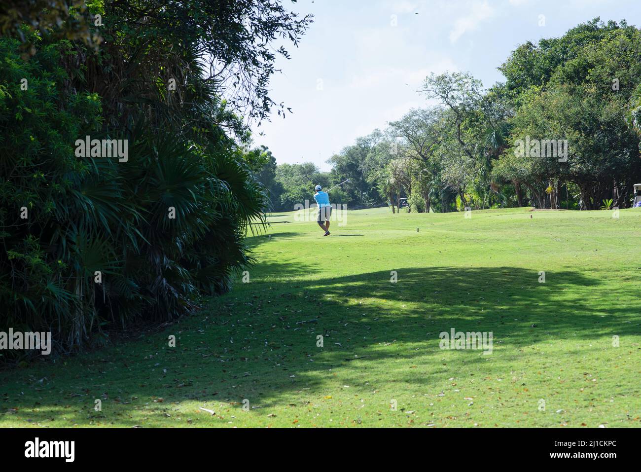 Vista posteriore di un uomo che gioca a golf circondato dalla natura tropicale in Messico Foto Stock