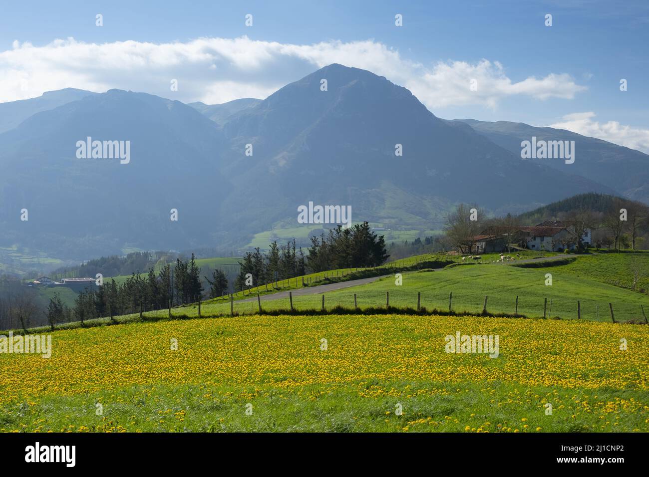 Prati fioriti con il parco naturale della catena montuosa Aralar, Euskadi Foto Stock