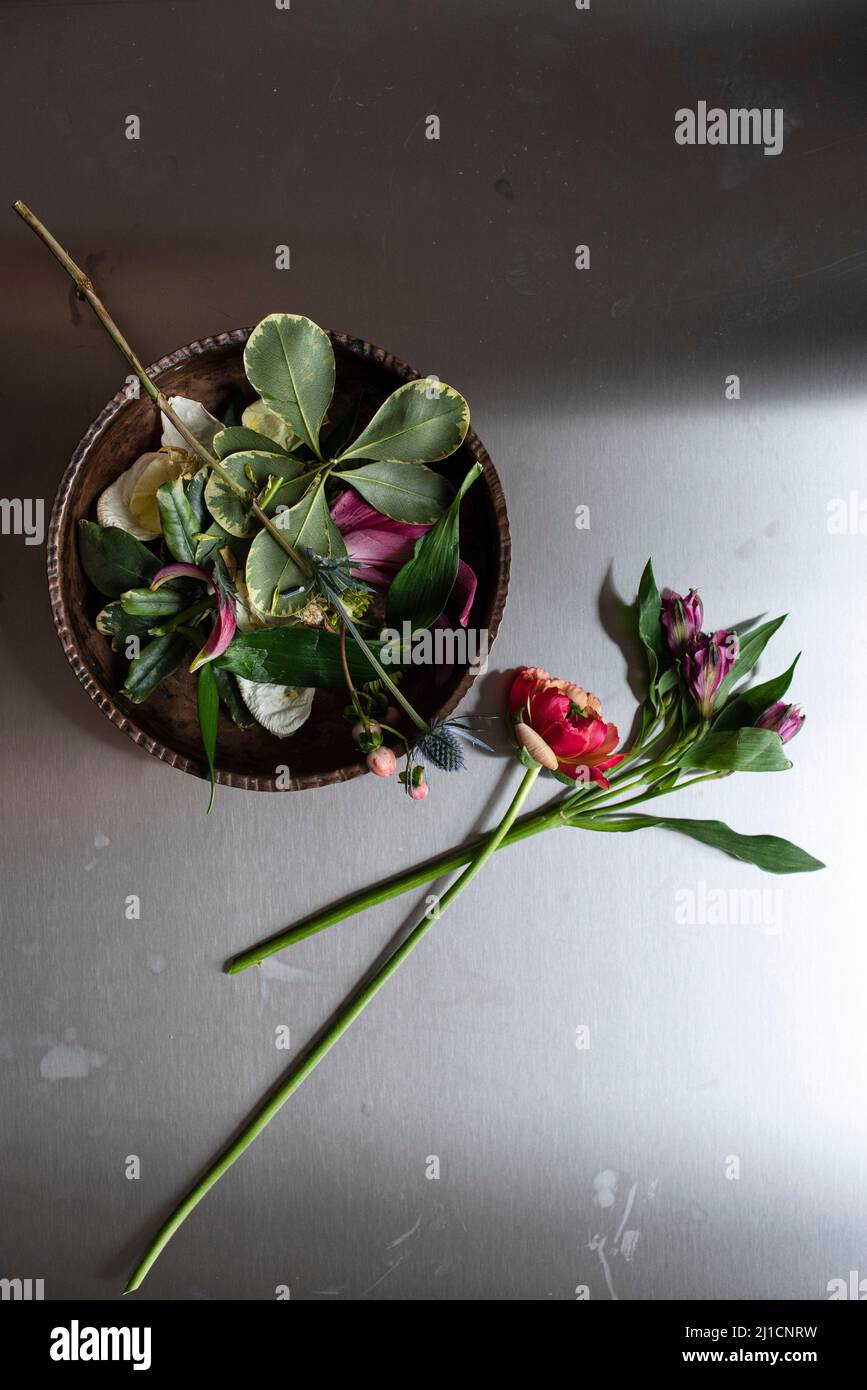 Laboratorio di fiori immagini e fotografie stock ad alta risoluzione - Alamy