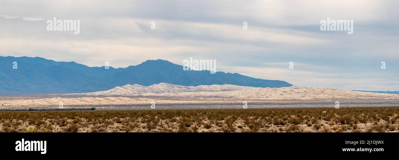 Paesaggio panoramico del deserto del Mojave in California. Foto Stock