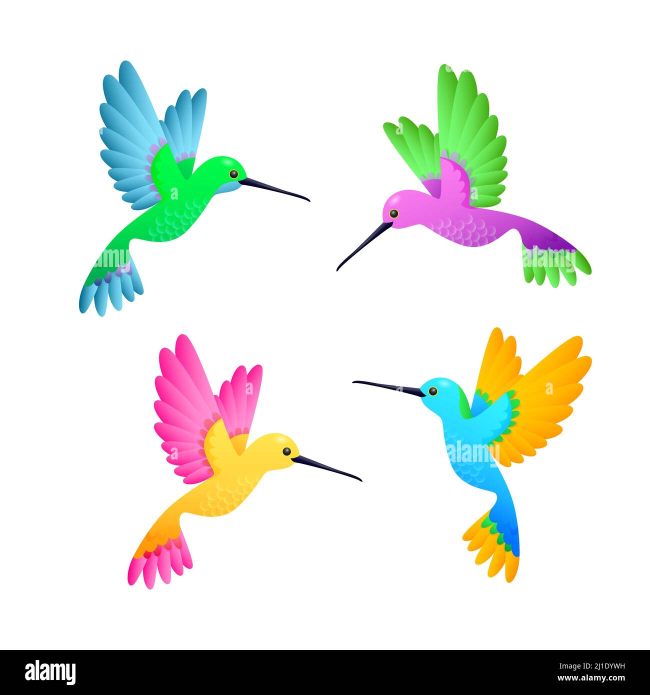 Set colibrì colorato. Carino piccoli uccelli con piume luminose. Può essere utilizzato per argomenti come la natura, ornitologia, uccelli esotici Illustrazione Vettoriale