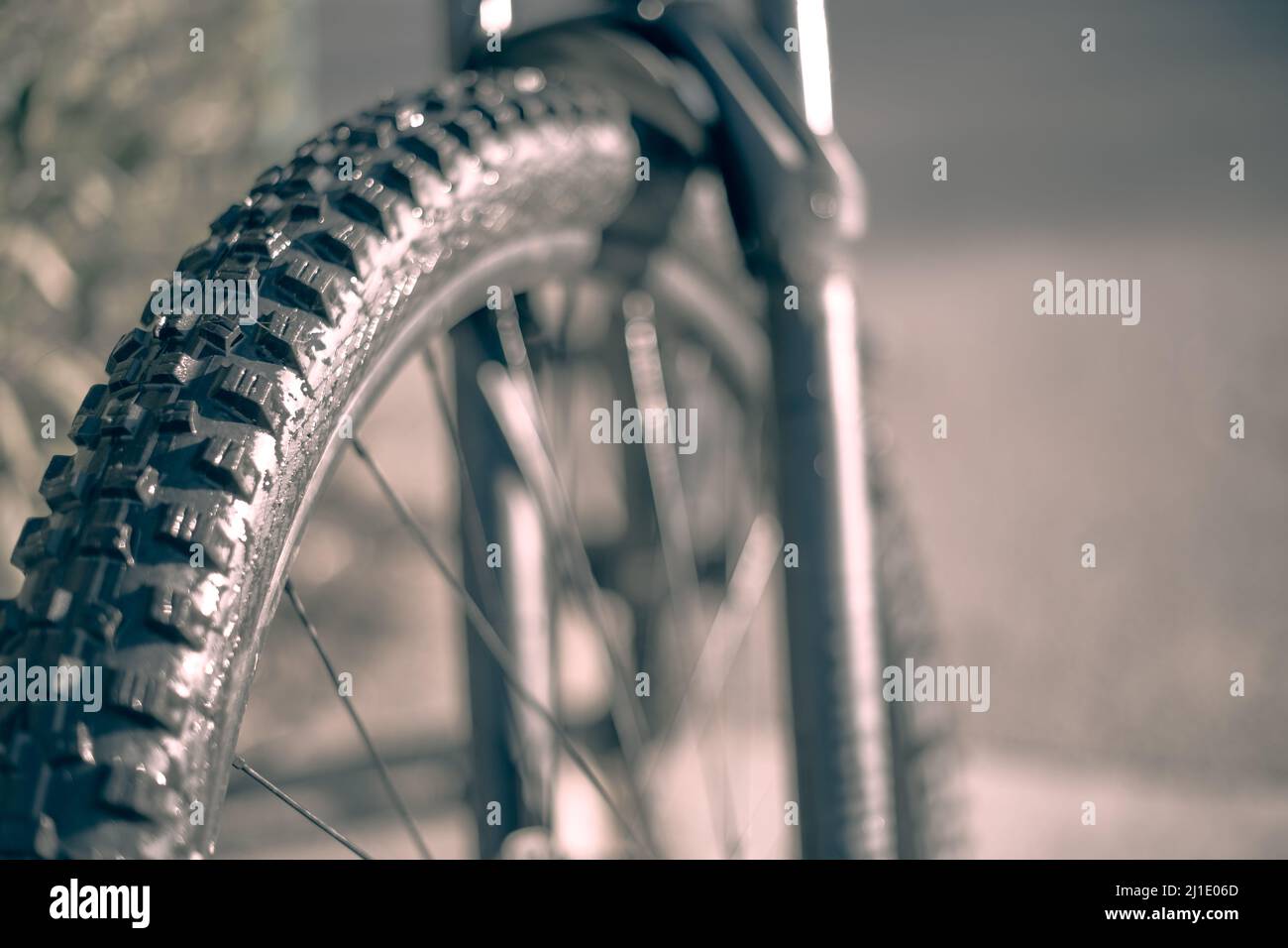 Pneumatico in gomma nera con grandi manopole da una mountain bike da vicino fermo Foto Stock