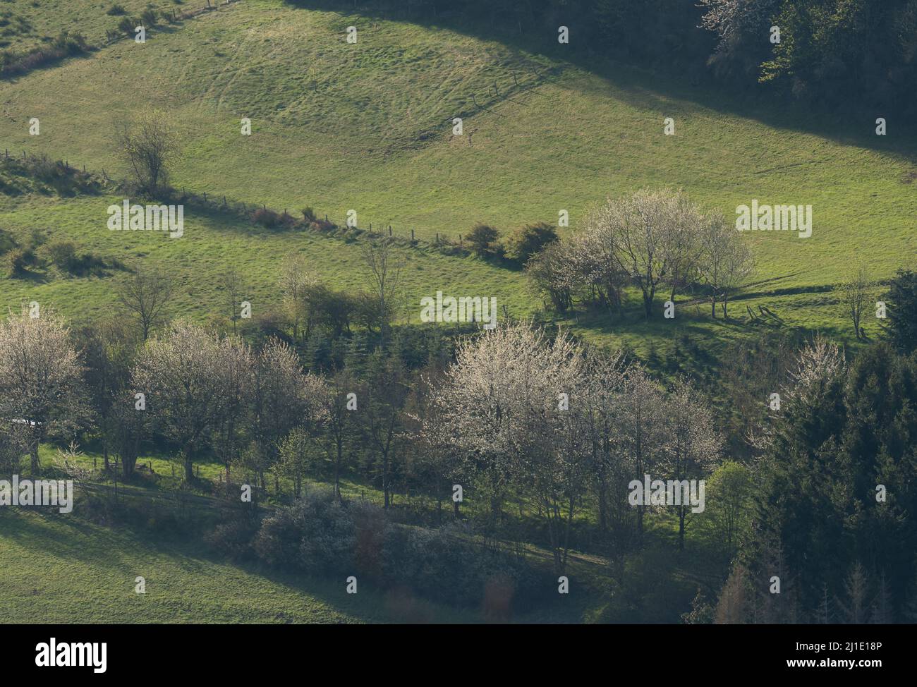 Paesaggio primaverile vicino alla città tedesca chiamata Hallenberg Foto Stock