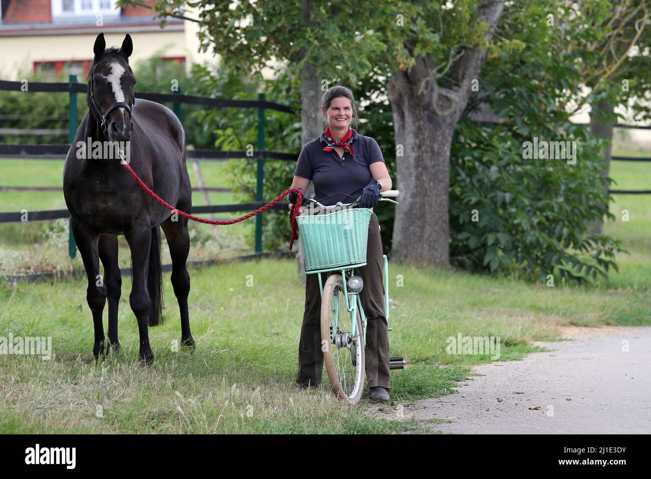 20.08.2021, Germania, Renania-Palatinato, Ingelheim - Gestuet Westerberg, donna su una bicicletta che tiene un cavallo vicino alla corda di piombo. 00S210820D235CAROEX.JP Foto Stock