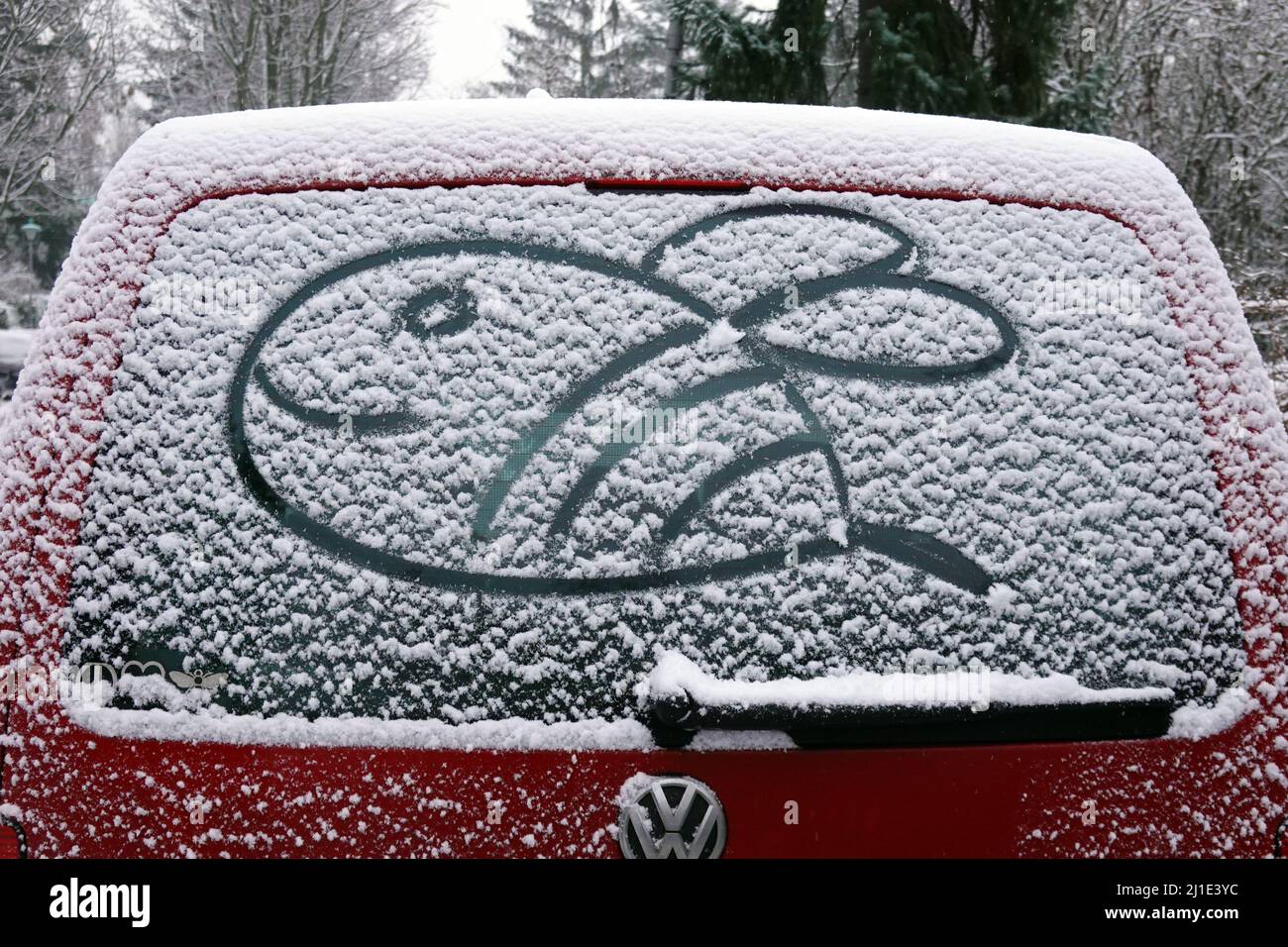 10.12.2021, Germania, , Berlino - Bee è disegnato nella neve sul lunotto di un'auto. 00S211210D617CAROEX.JPG [RELEASE MODELLO: NO, RELEASE PROPRIETÀ: NO Foto Stock