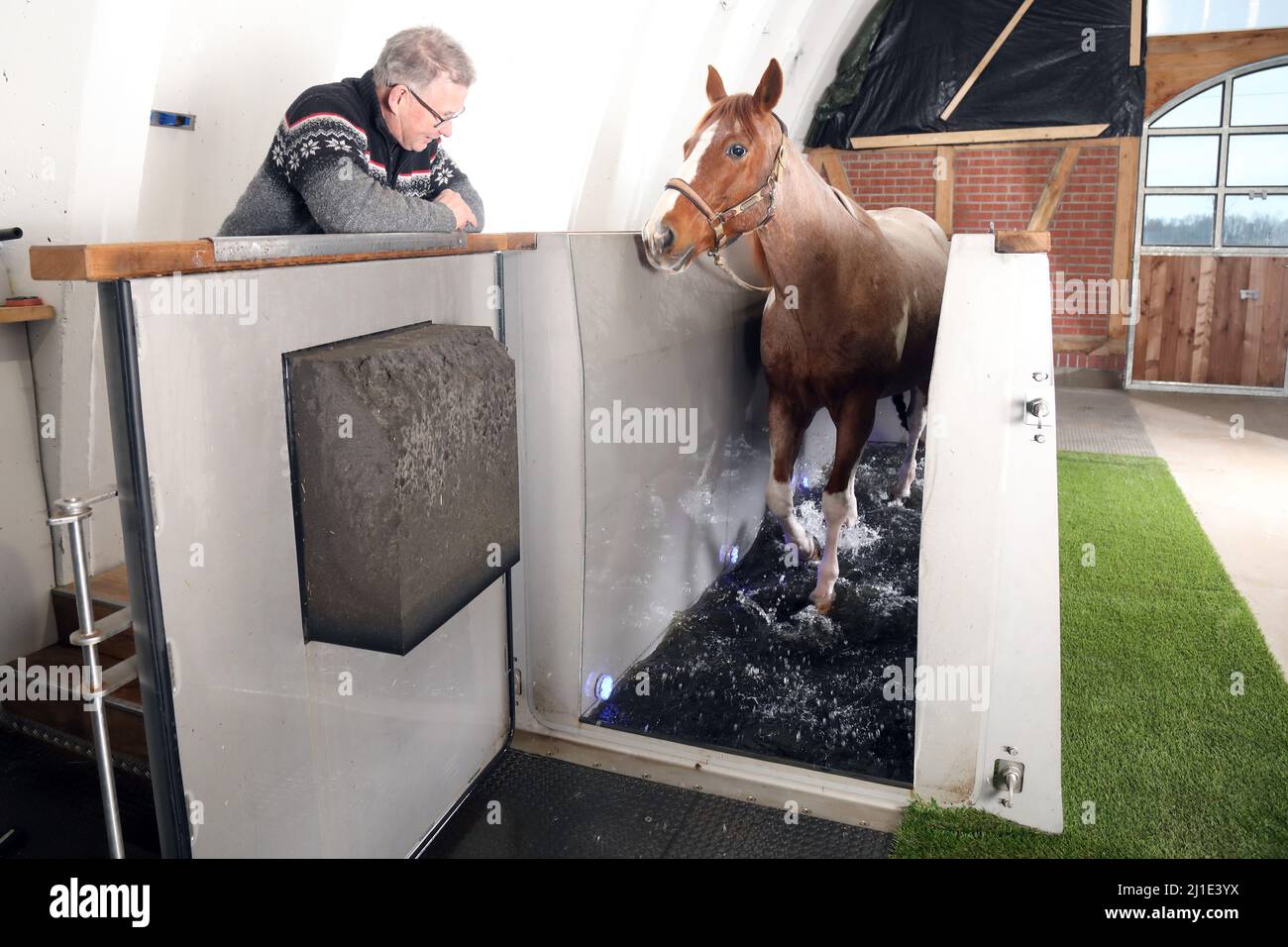 17.12.2021, Germania, Brandeburgo, Neuruppin - il cavallo si muove sotto la supervisione di un allenatore di acqua. 00S211217D718CAROEX.JPG [VERSIONE MODELLO: NO, PROPRIETÀ R Foto Stock