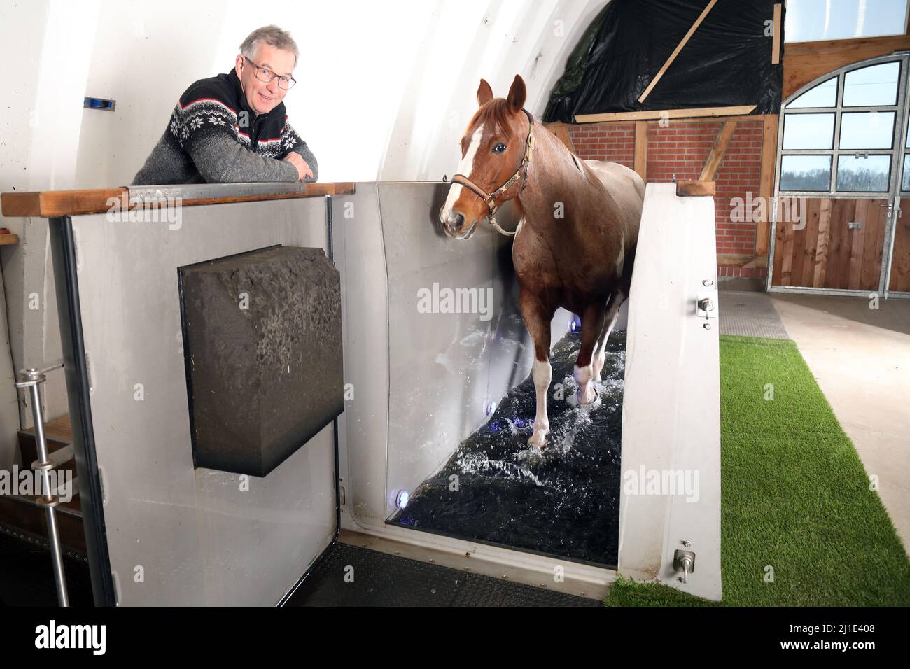 17.12.2021, Germania, Brandeburgo, Neuruppin - Cavallo che si muove in un acquatrainer sotto la supervisione di Martin Schemuth. 00S211217D717CAROEX.JPG [MODELLO Foto Stock