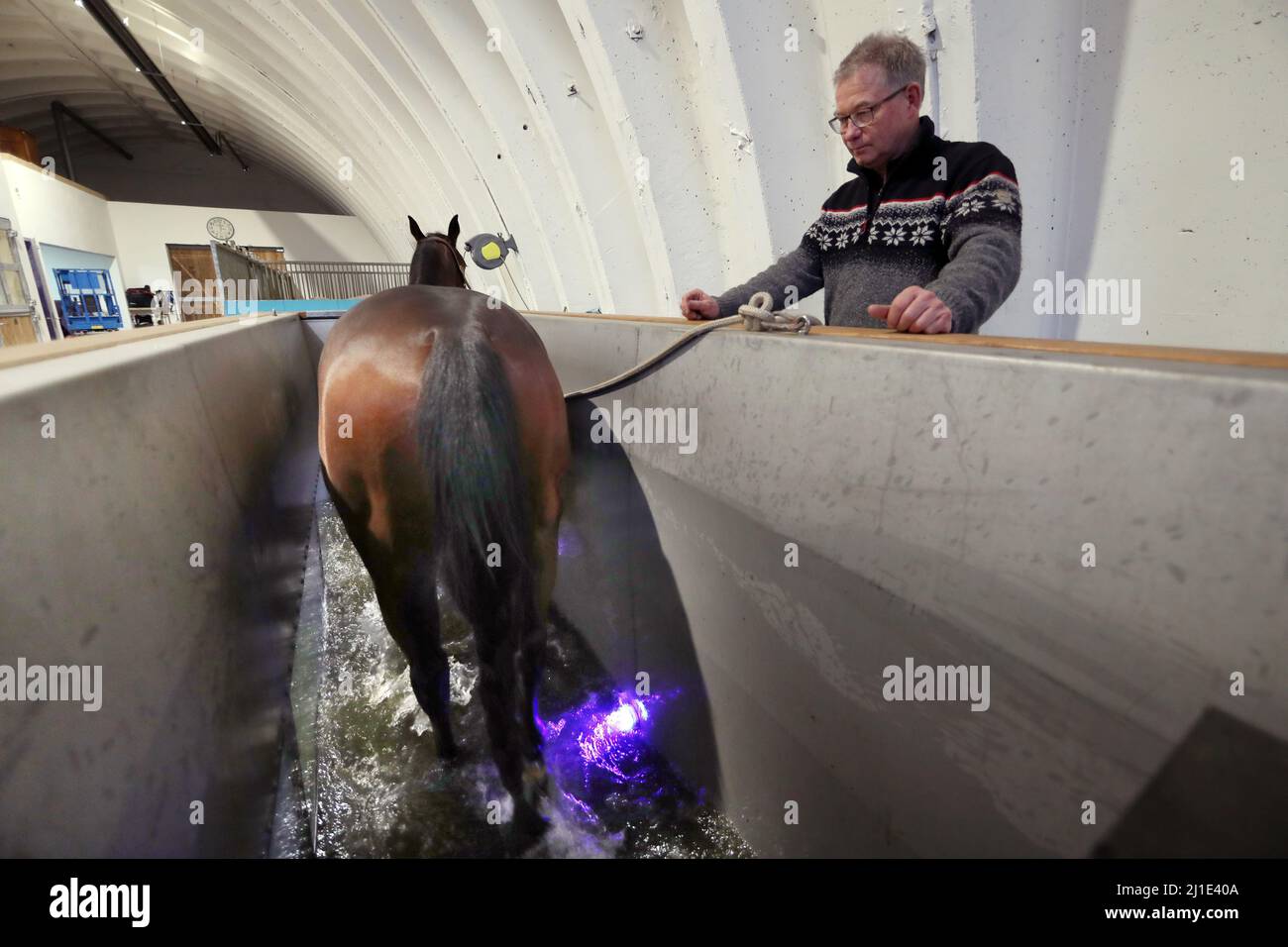 17.12.2021, Germania, Brandeburgo, Neuruppin - il cavallo si muove sotto la supervisione di un allenatore di acqua. 00S211217D722CAROEX.JPG [VERSIONE MODELLO: NO, PROPRIETÀ R Foto Stock