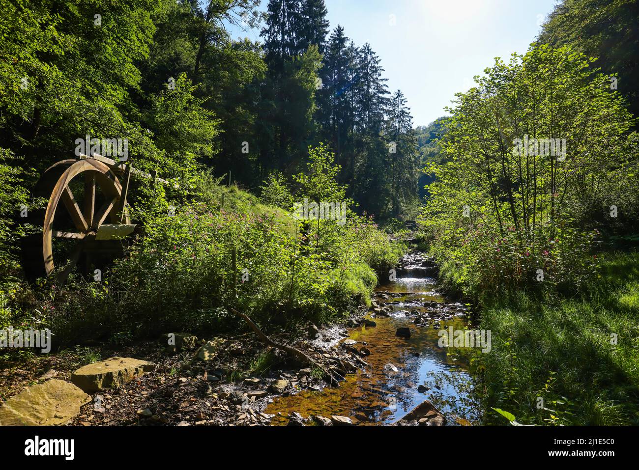 08.09.2021, Germania, Renania settentrionale-Vestfalia, Ennepetal - Valle Huelsenbecker, ruscello Huelsenbecke, area ricreativa locale a Ennepetal. 00X210908D032CA Foto Stock