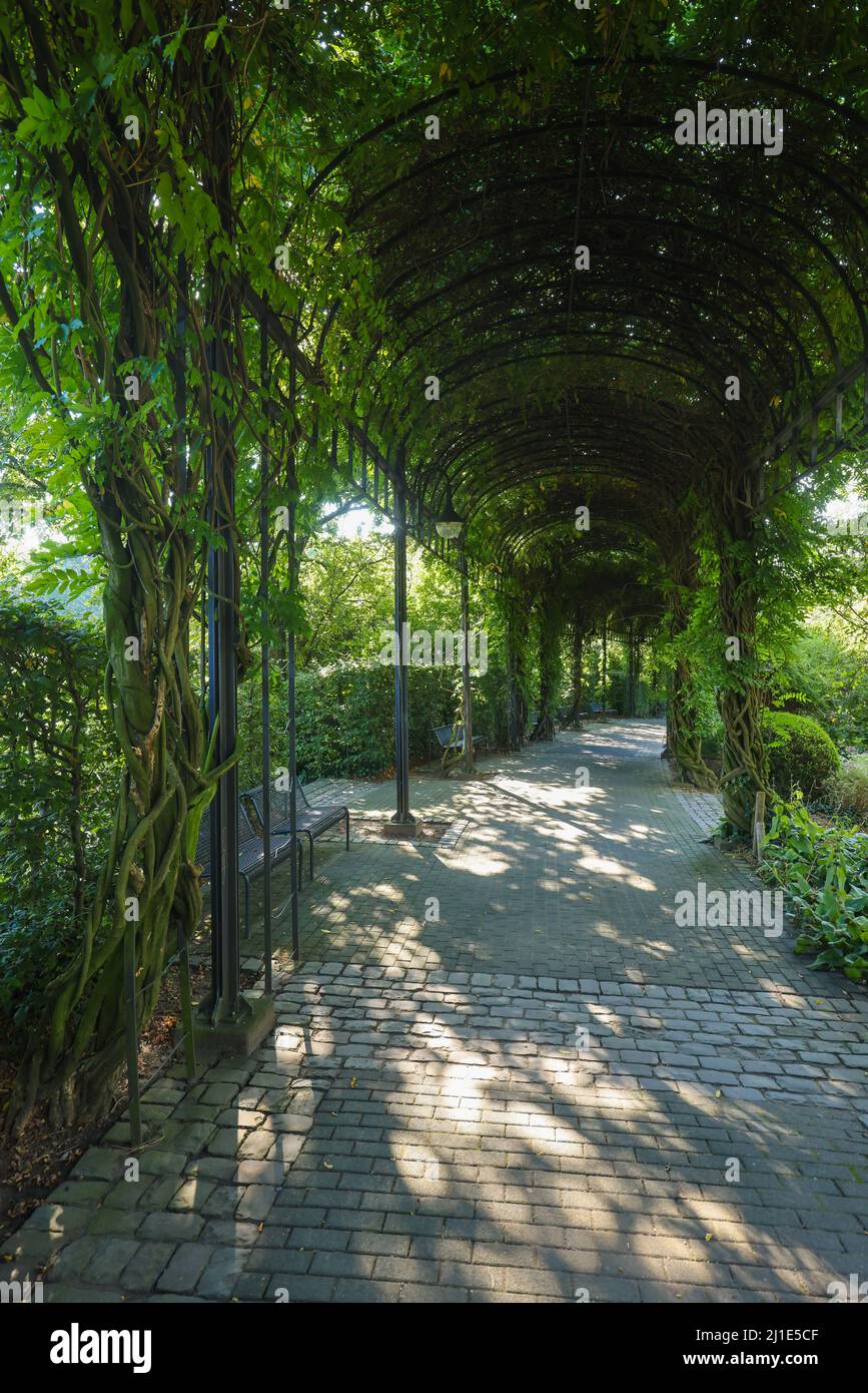 09.09.2021, Germania, Renania settentrionale-Vestfalia, Muelheim an der Ruhr - Arcade nel parco MueGa, Muelheims Garten an der Ruhr. 00X210909D027CAROEX.JPG [M Foto Stock