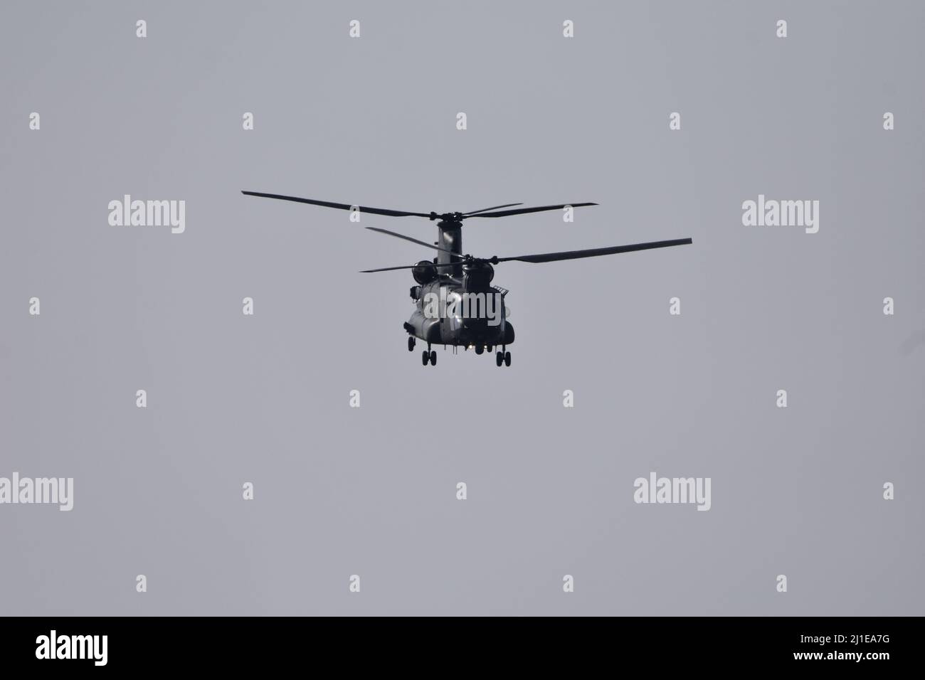 Un primo piano di un elicottero Royal Air Force chinook che decollerà dalla stazione aerea RAF Brize Norton di Carterton, Oxfordshire il 23rd marzo 2022 Foto Stock