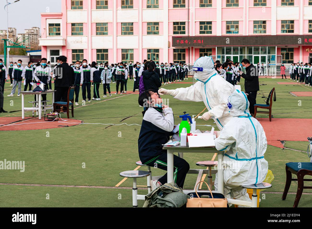 JIUQUAN, CINA - 24 MARZO 2022 - uno studente della scuola media ha effettuato test sugli acidi nucleici a Jiuquan City, provincia di Gansu, Cina, 24 marzo 2022. Foto Stock