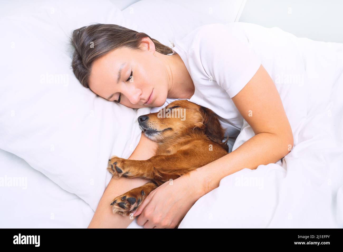 Donna che dorme con il suo cane. Il padrone dorme con un bel cane dachshund. Insieme al migliore amico Foto Stock