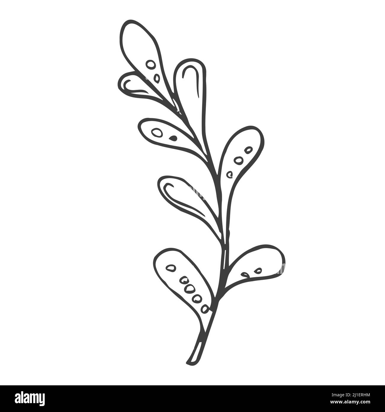 Elementi di design floreali a forma di doodle. Foglie e ghirlande decorative disegnate a mano. Divisori ornamento fiori. Rami di albero Illustrazione Vettoriale