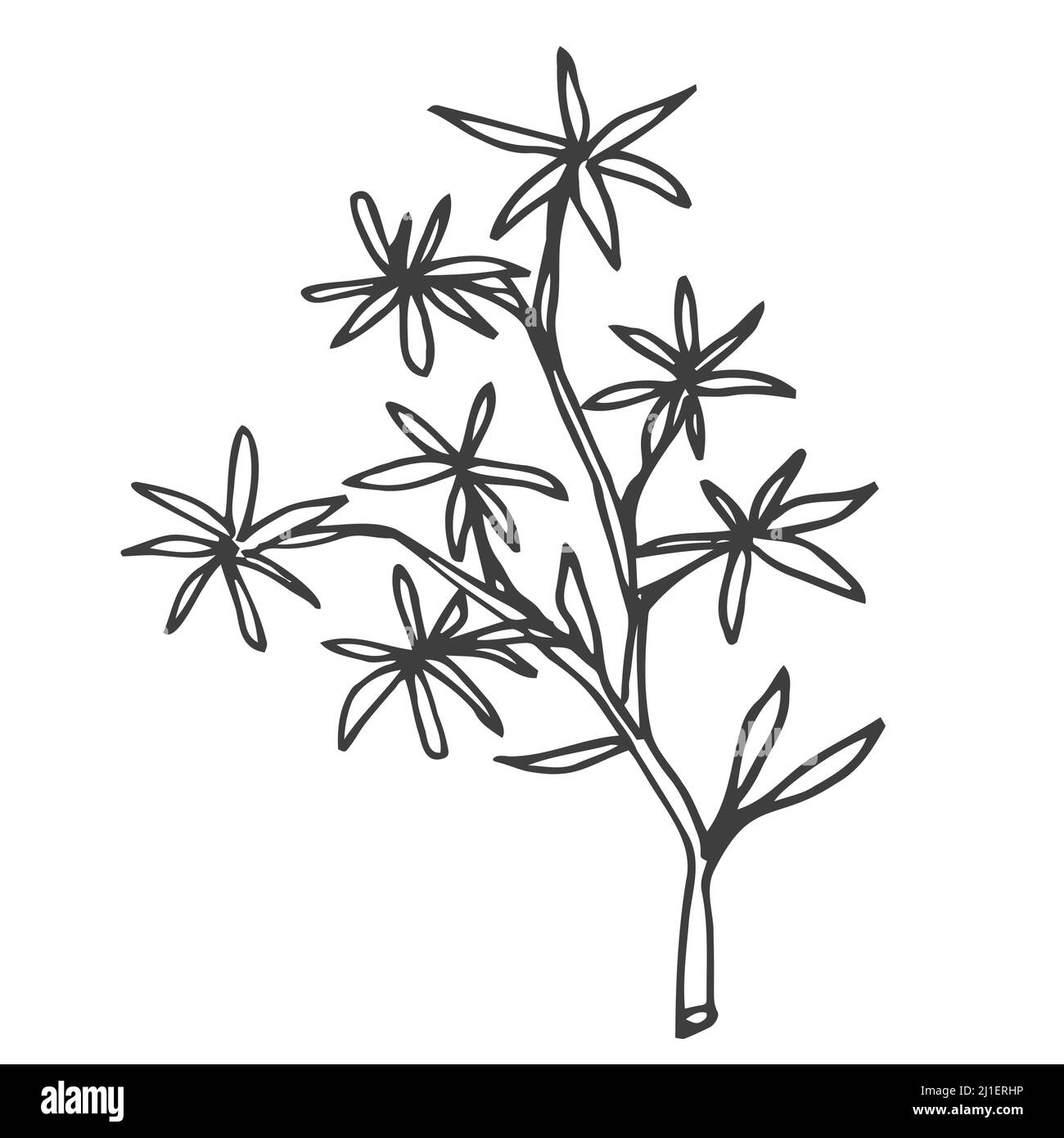 Elementi di design floreali a forma di doodle. Foglie e ghirlande decorative disegnate a mano. Divisori ornamento fiori. Rami di albero Illustrazione Vettoriale