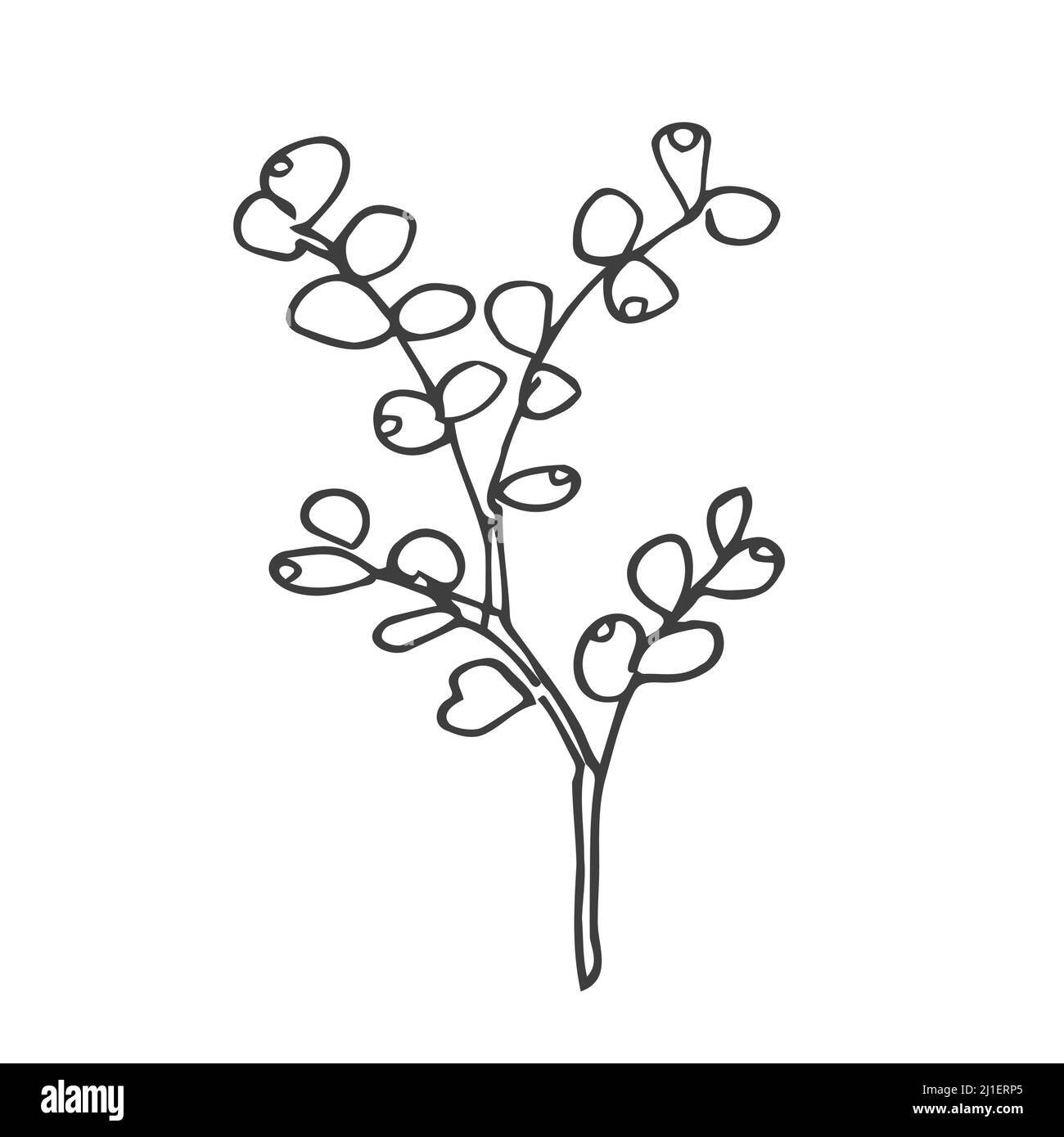 Elementi di design floreali a forma di doodle. Foglie e ghirlande decorative disegnate a mano. Divisori ornamento fiori. Rami di albero Illustrazione Vettoriale