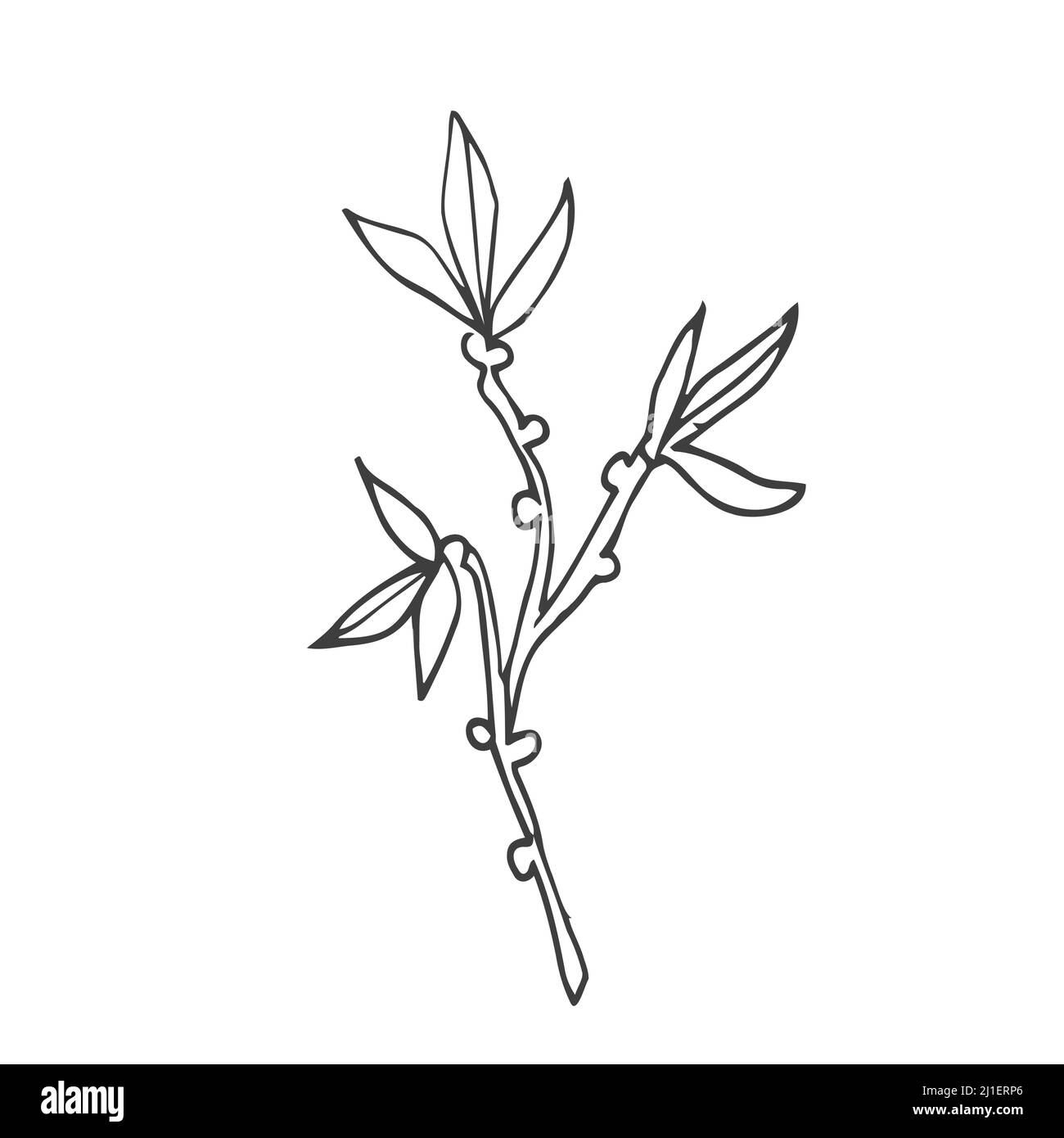 Elementi di design floreali a forma di doodle. Foglie e ghirlande decorative disegnate a mano. Divisori ornamento fiori. Rami di albero Illustrazione Vettoriale