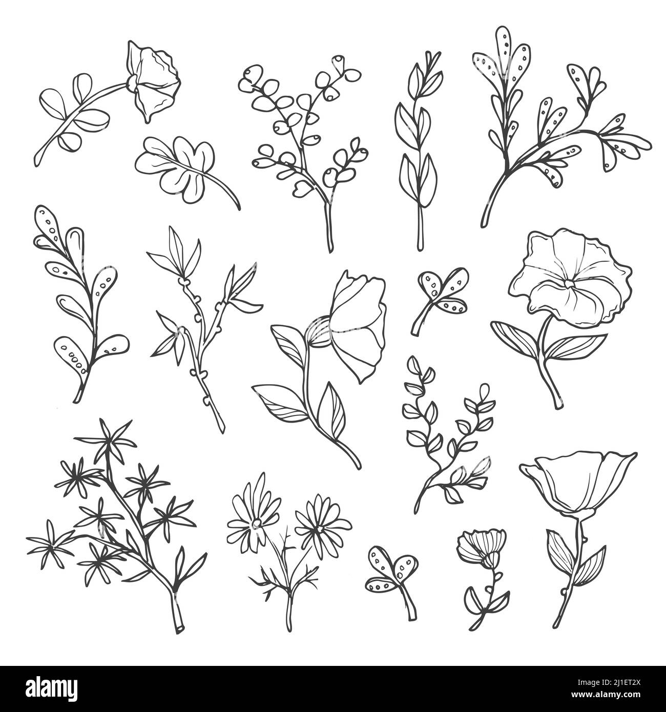 Fiori e rami minimalisti. Erbe d'arte Modern Line. Set di icone di evidenziazione disegnate a mano. Elementi botanici per logo design per eco style, caffè, negozio, Illustrazione Vettoriale