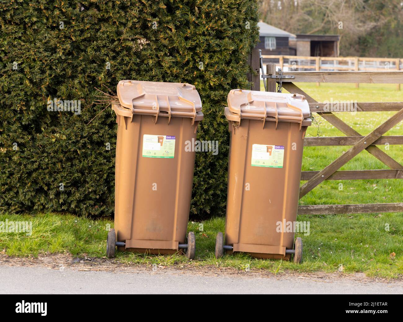 Bidoni a ruote marroni contenenti rifiuti da giardino pronti per essere svuotati dai raccoglitori di rifiuti. Hertfordshire. REGNO UNITO Foto Stock