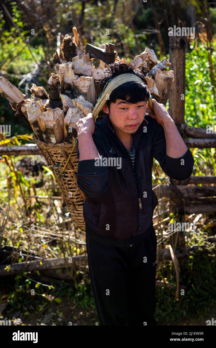 Vista di un operaio maschile che porta legno in un cestino sulla schiena nella città di Pelling. Foto Stock