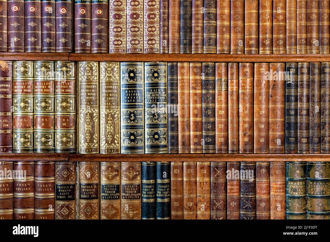 Primo piano di libri d'antiquariato con spine in rilievo in lamina d'oro su uno scaffale (Biblioteca a Knebworth House, Regno Unito) Foto Stock
