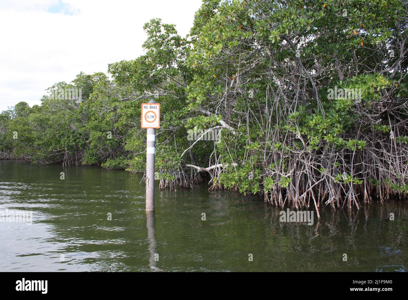 Foresta di mangrovie con cartello fuori da Key Largo in Florida Foto Stock