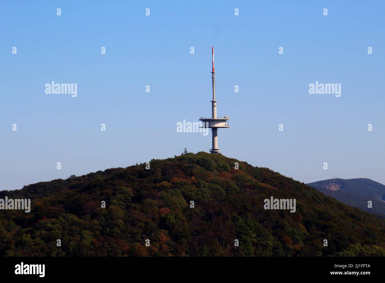 Zu sehen ist der Fehrnsehturm in porta Wesfalica, welcher sich auf dem Jacobsberg befindet und aus ganz Minden und der Umgebung sichtbar ist Foto Stock