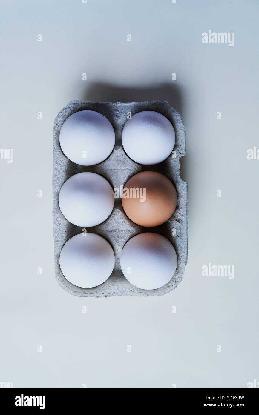 Sia l'eccezione. Studio girato di una scatola su sfondo grigio contenente mezza dozzina di uova con un uovo che è diverso dal resto. Foto Stock Sia l'eccezione. Studio girato di una scatola su sfondo grigio contenente mezza dozzina di uova con un uovo che è diverso dal resto. Foto Stock
