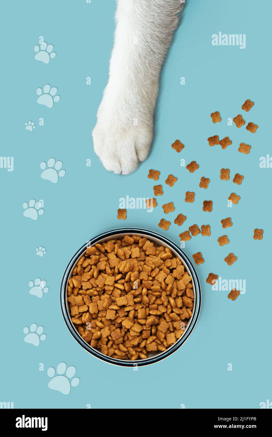 Zampa di gatto, ciotola di cibo, impronte di zampa e cibo sparso su sfondo blu. Alimentazione animale, cura animale. Umorismo. Foto Stock