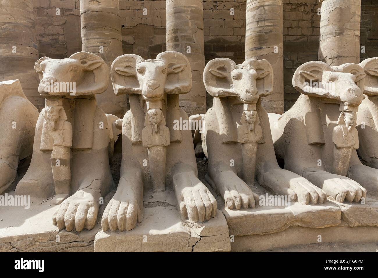 Statue di sfingi a testa di ariete lungo la strada dei festeggiamenti del Re a Karnak, Luxor Foto Stock