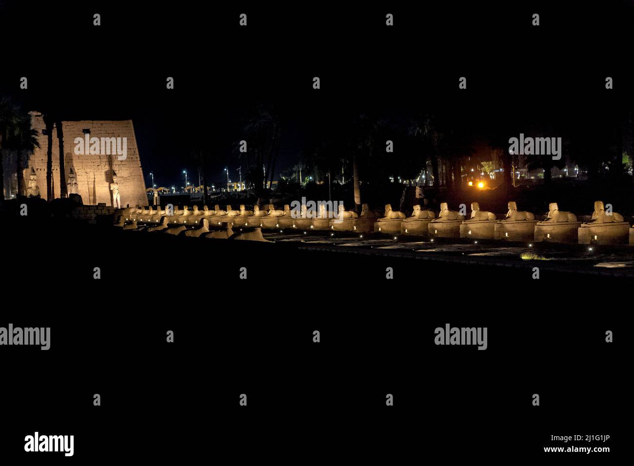 Pilone di Rameses II al tempio di Luxor, più il viale di Sphinxes che conduce a Karnak, illuminato di notte Foto Stock