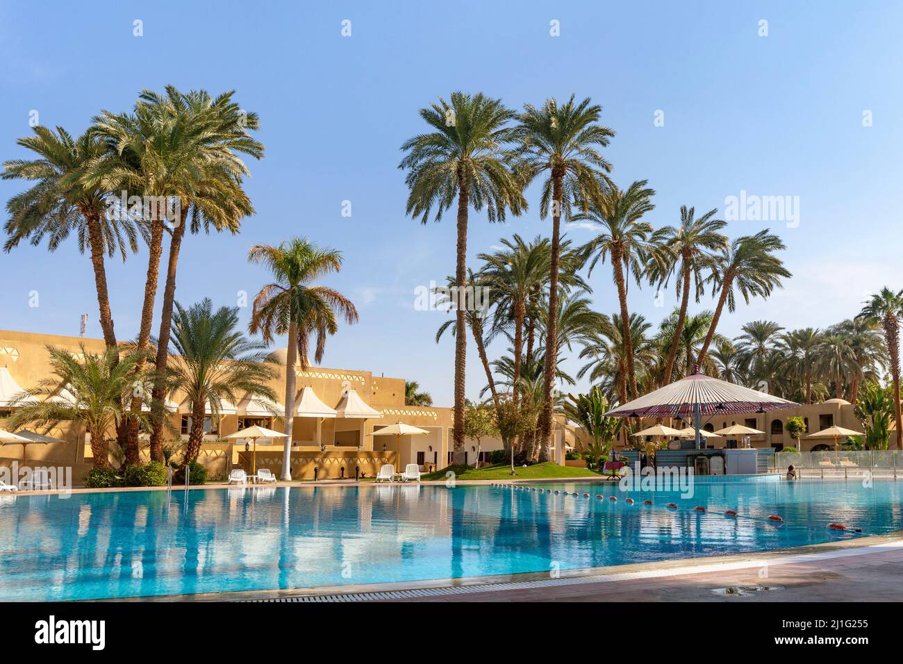 Area piscina, Hotel Mercure, Luxor Foto Stock