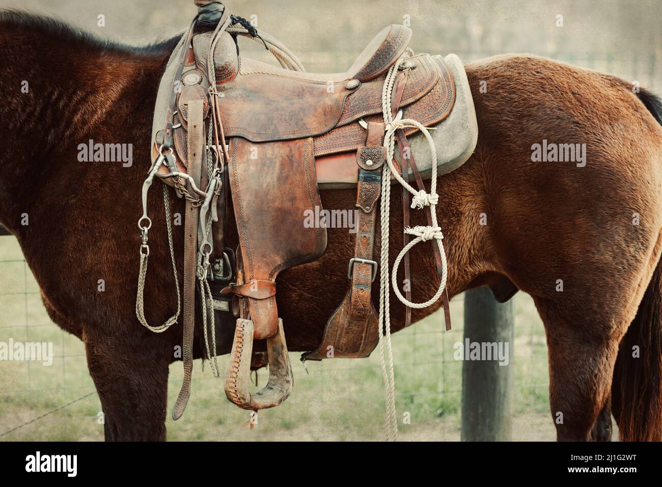 Un'immagine ravvicinata di una sella occidentale su un cavallo da lavoro in un ranch o fattoria con un'atmosfera d'epoca Foto Stock Un'immagine ravvicinata di una sella occidentale su un cavallo da lavoro in un ranch o fattoria con un'atmosfera d'epoca Foto Stock